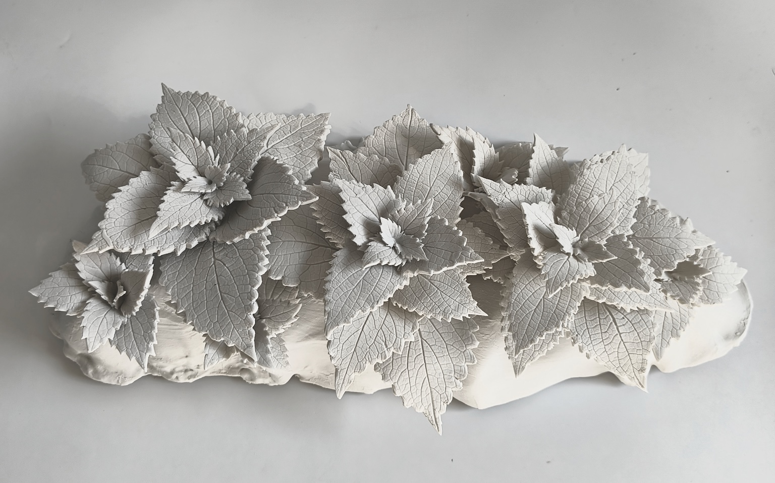 Prutha Jain, space118
